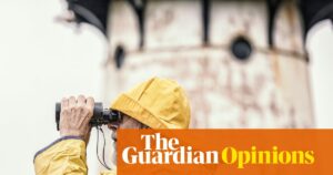 The curious case of Elias Thorne – and what he tells us about AI inbreeding | Arwa Mahdawi