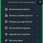 Seven things WhatsApp Plus should have instead