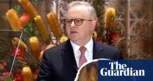 Anthony Albanese says he wants to do AI ‘the Australian way’ – video | Australian politics