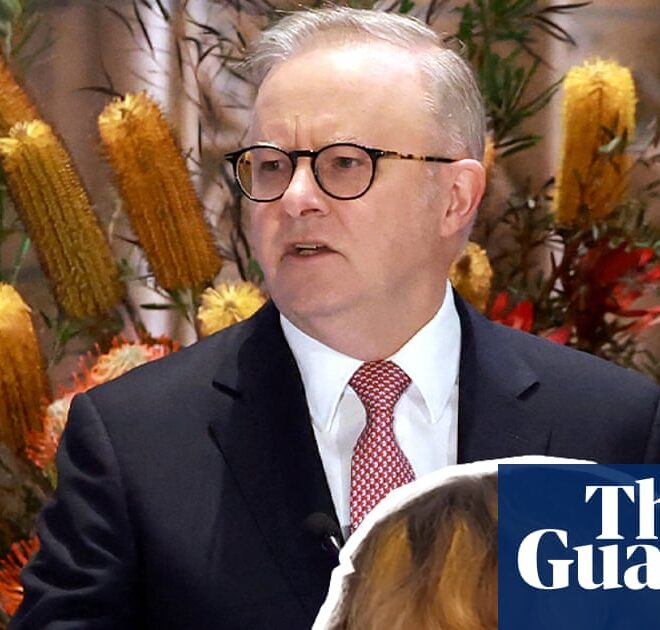 Anthony Albanese says he wants to do AI ‘the Australian way’ – video | Australian politics
