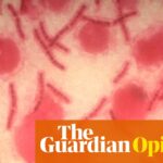 AI can fuel biological weapons. We must harness its power for defense | Annie Jacobsen