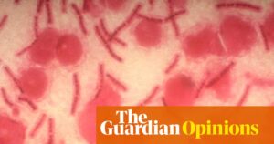 AI can fuel biological weapons. We must harness its power for defense | Annie Jacobsen
