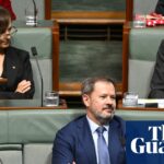 Ed Husic says weakening copyright to benefit AI companies would betray Labor party’s ethos | Australia news