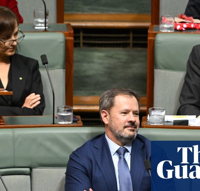Ed Husic says weakening copyright to benefit AI companies would betray Labor party’s ethos | Australia news