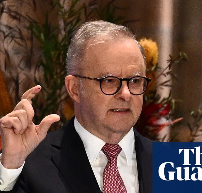 Albanese’s AI plan is admirable – but will face tech giants more powerful than most national governments | Australian politics