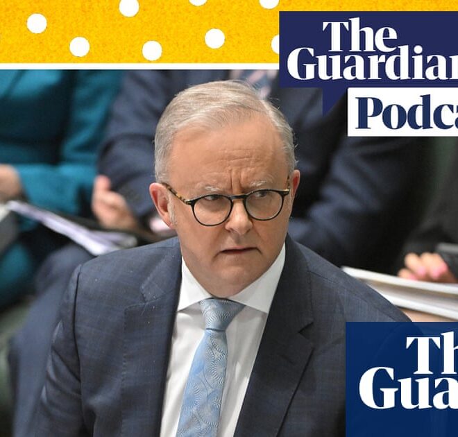 Can Labor save us from the risks of AI? – podcast