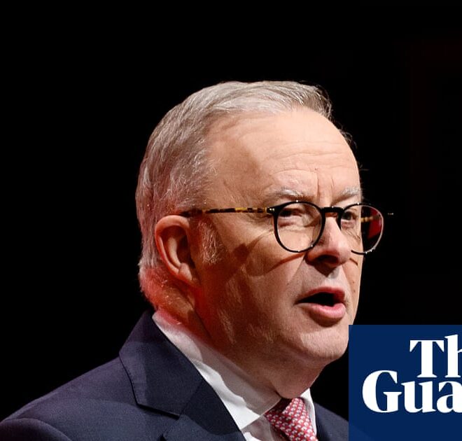 Anthony Albanese promises fast-track approvals for datacentres to shore up AI investment | AI (artificial intelligence)