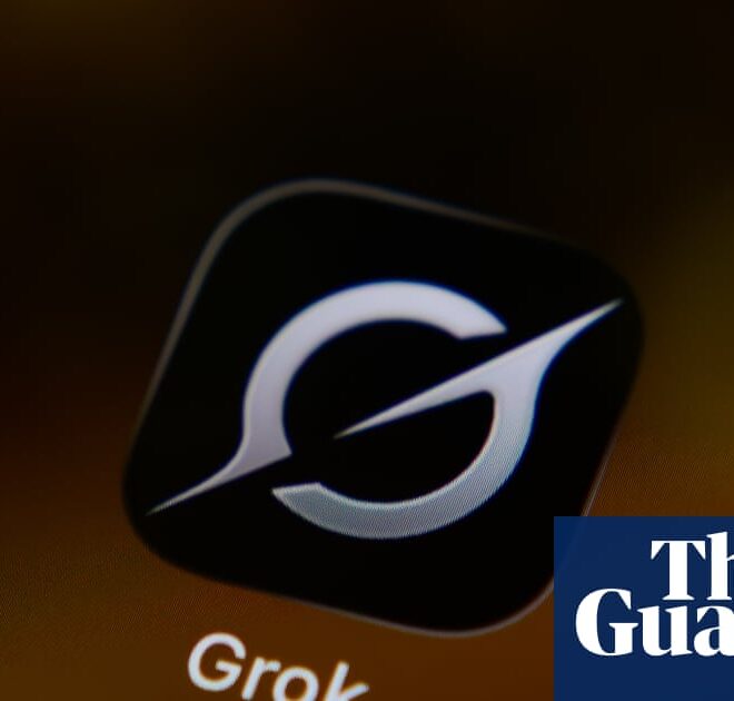 Musk’s xAI sues user who allegedly used Grok to create child sexual abuse material | AI (artificial intelligence)
