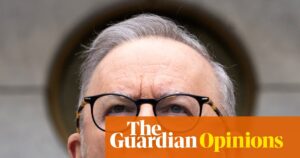 AI may be the toughest challenge Anthony Albanese faces this term. Guardrails are urgently needed | Peter Lewis