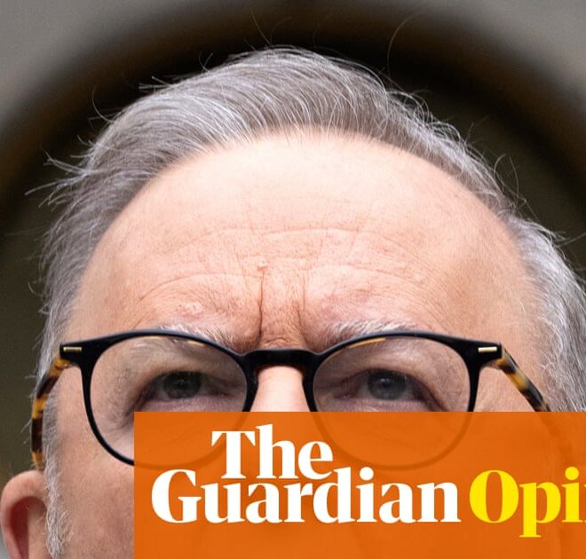 AI may be the toughest challenge Anthony Albanese faces this term. Guardrails are urgently needed | Peter Lewis
