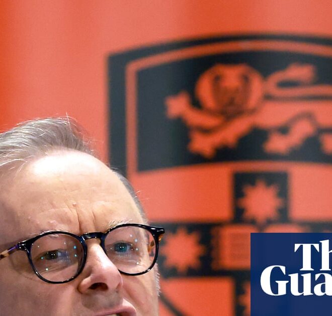 ‘Not up for grabs’: Albanese establishes AI office and vows to protect Australian creatives from copyright ‘theft’ | AI (artificial intelligence)